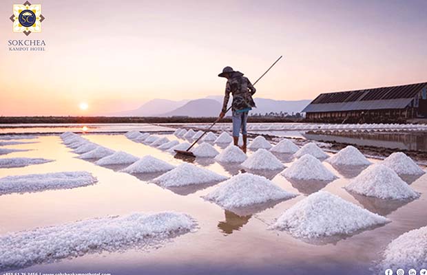 Kampot Salt Fields